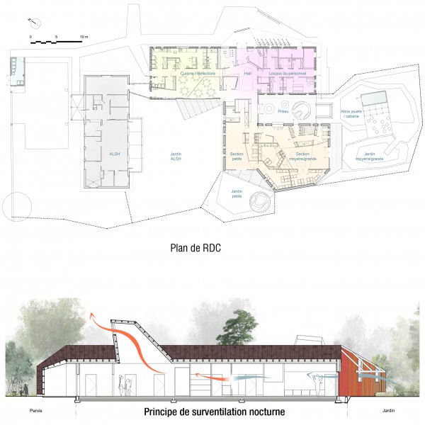 Plan RDC et coupe transversale / 