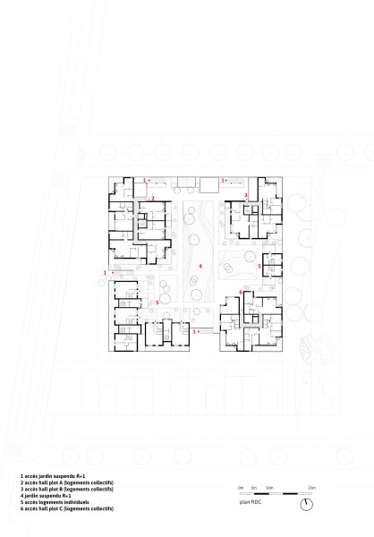 Plan R + 1 / 
