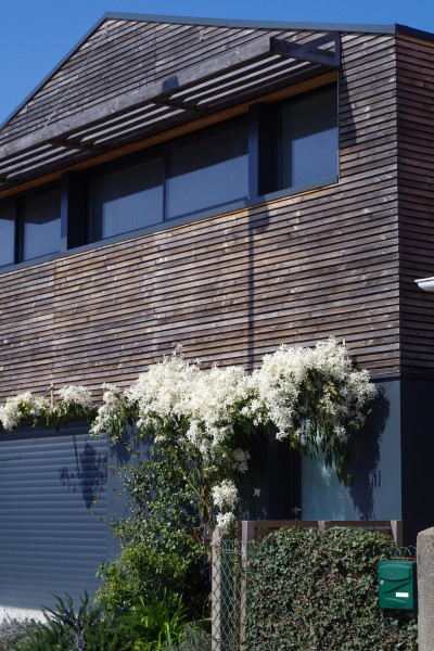 Façade SUD, côté rue 2 / Aline Tomasetti architecte