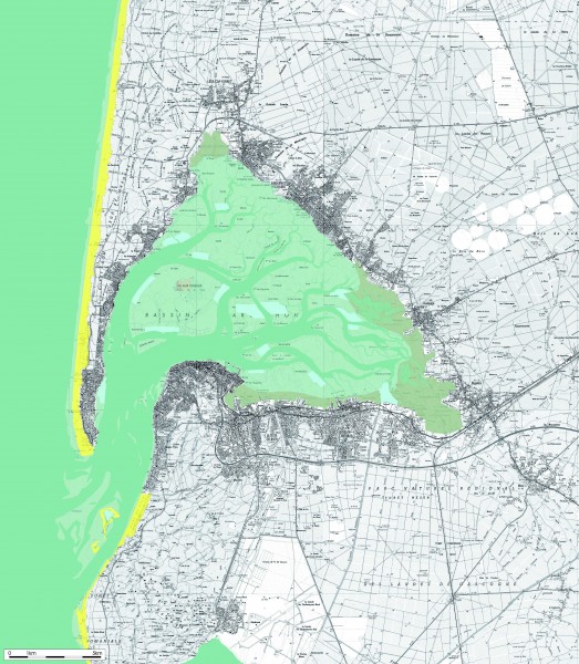 Carte du bassin d'Arcachon / Emilie Depierre