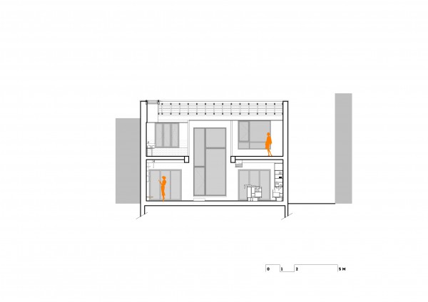 Coupe longitudinale /