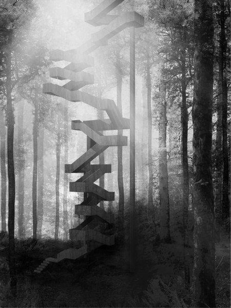 Eskailera, l’Escalier Ce?leste (Sur la terre et vers le ciel) Ce?le?bration du quotidien nume?ro trois, L’ASCENSION / Sandrine IRATCABAL