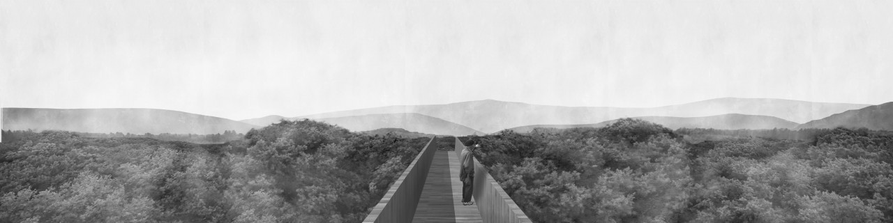 Eskailera, l’Escalier Ce?leste, vue de la passerelle, Ce?le?bration du quotidien nume?ro trois, L’ASCENSION / Sandrine IRATCABAL