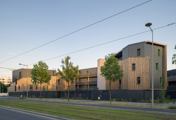 Peau de bois  / Clairefontaine [Mérignac] / © Jean-François TREMEGE