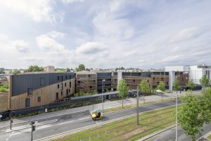 Peau de bois  / Clairefontaine [Mérignac] / © Jean-François TREMEGE