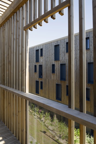 Peau de bois  / Clairefontaine [Mérignac] / © Jean-François TREMEGE