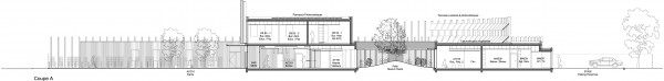 Coupe Longitudinale / 