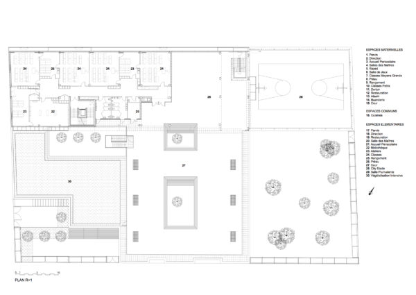 Plan 1° Etage / Agence Ferron & Monnereau