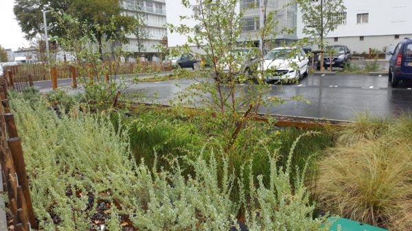 Noue pantée du parking Nord (Restructuré) Eté 2018 / Laurence Ruelloux