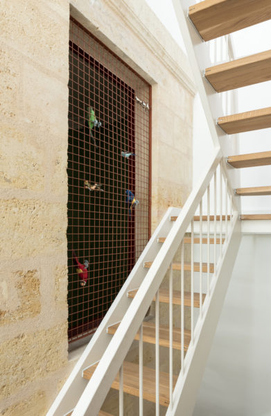 L'escalier dans le puits du jour / Martins Afonso