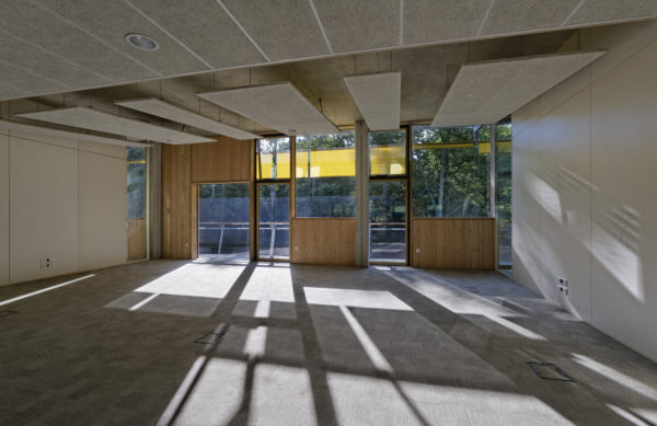 Des bureaux dans les arbres / M. Monthiers