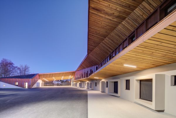 Cour de récréation / Xavier DUMOULIN