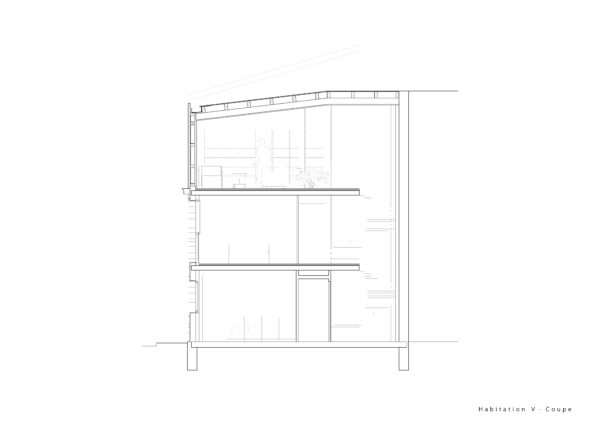 Coupe / Faye Architectes