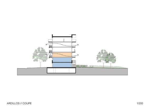 ARDILLOS - Coupe / TEISSEIRE DUMESNIL architectes + associés (TaaD)