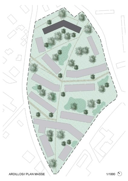 ARDILLOS - Plan Masse / TEISSEIRE DUMESNIL architectes + associés (TaaD)