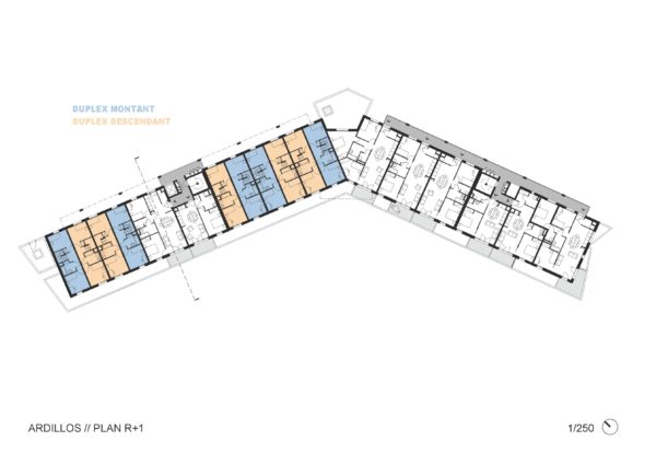 ARDILLOS - Plan R+1 / TEISSEIRE DUMESNIL architectes + associés (TaaD)