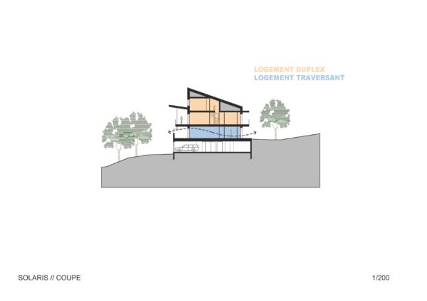 SOLARIS - Coupe / TEISSEIRE DUMESNIL architectes + associés (TaaD)