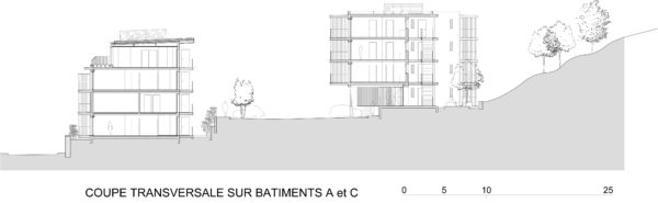 Coupe transversale sur bâtiments A et B / 