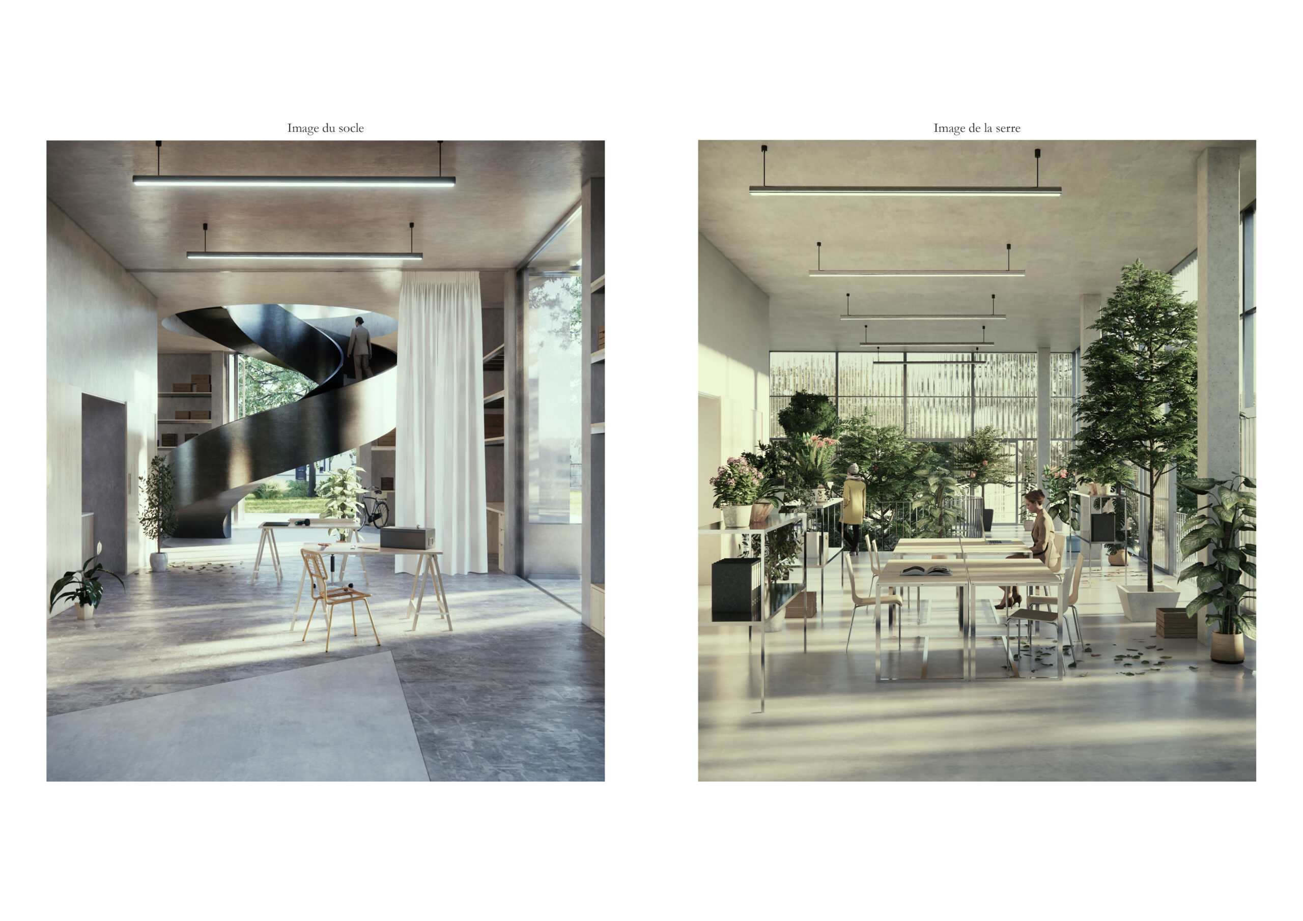 Images socle et serre / Gautier BAUFILS & Gaspard JOURNET