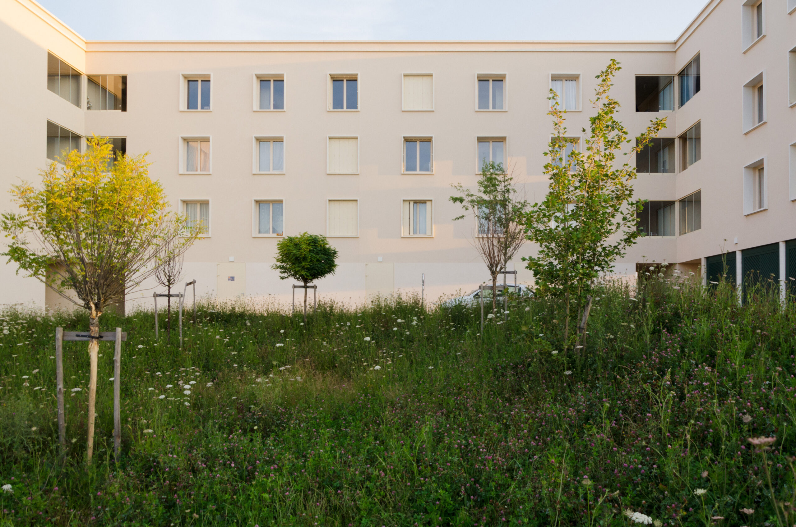 Vue depuis le jardin / Maud Faivre