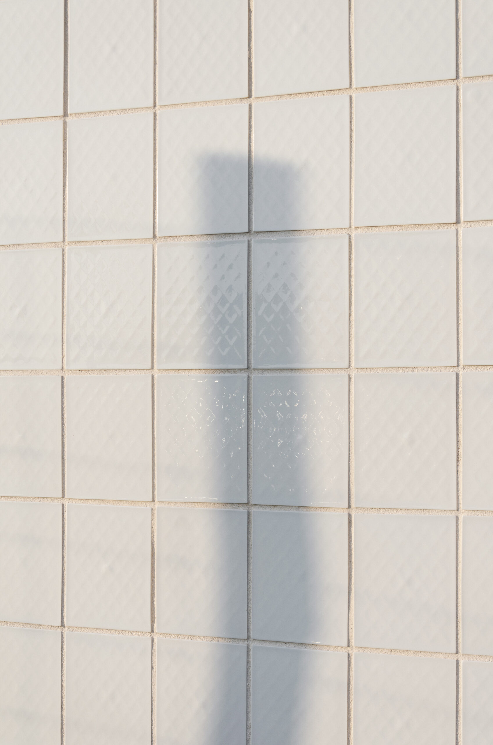 Détail de la porcelaine / Maud Faivre