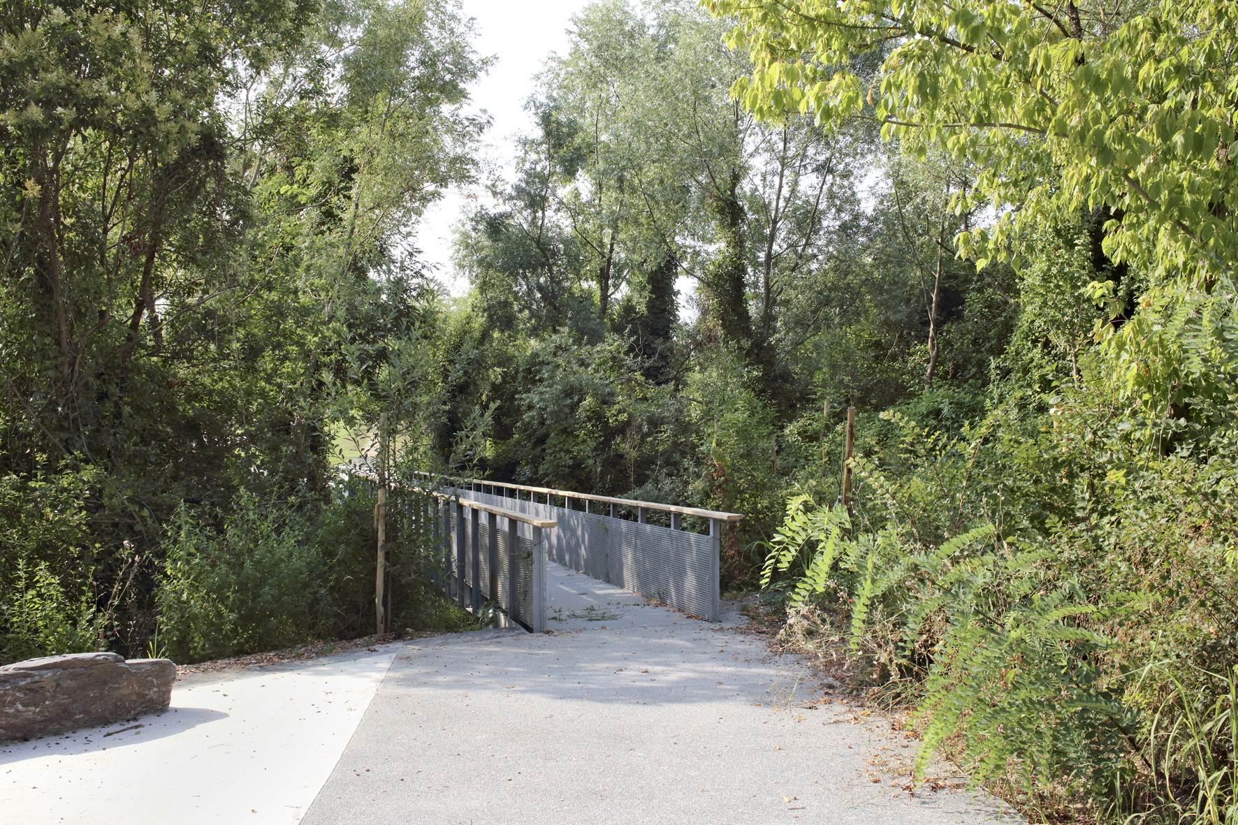 La passerelle du ruisseau / Agnès Clotis