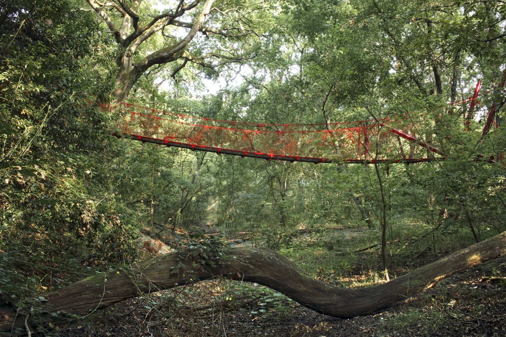 Le pont suspendu de la chênaie / Agnès Clotis
