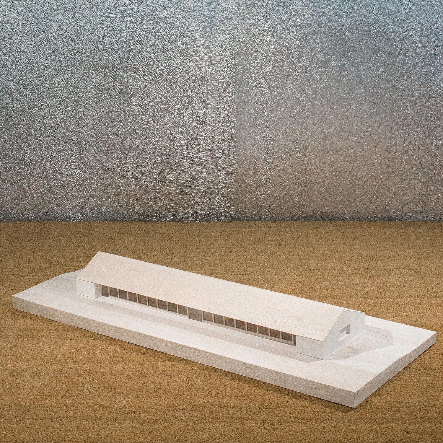 maquette d'étude (clot couvert) / esnardsanz architectes