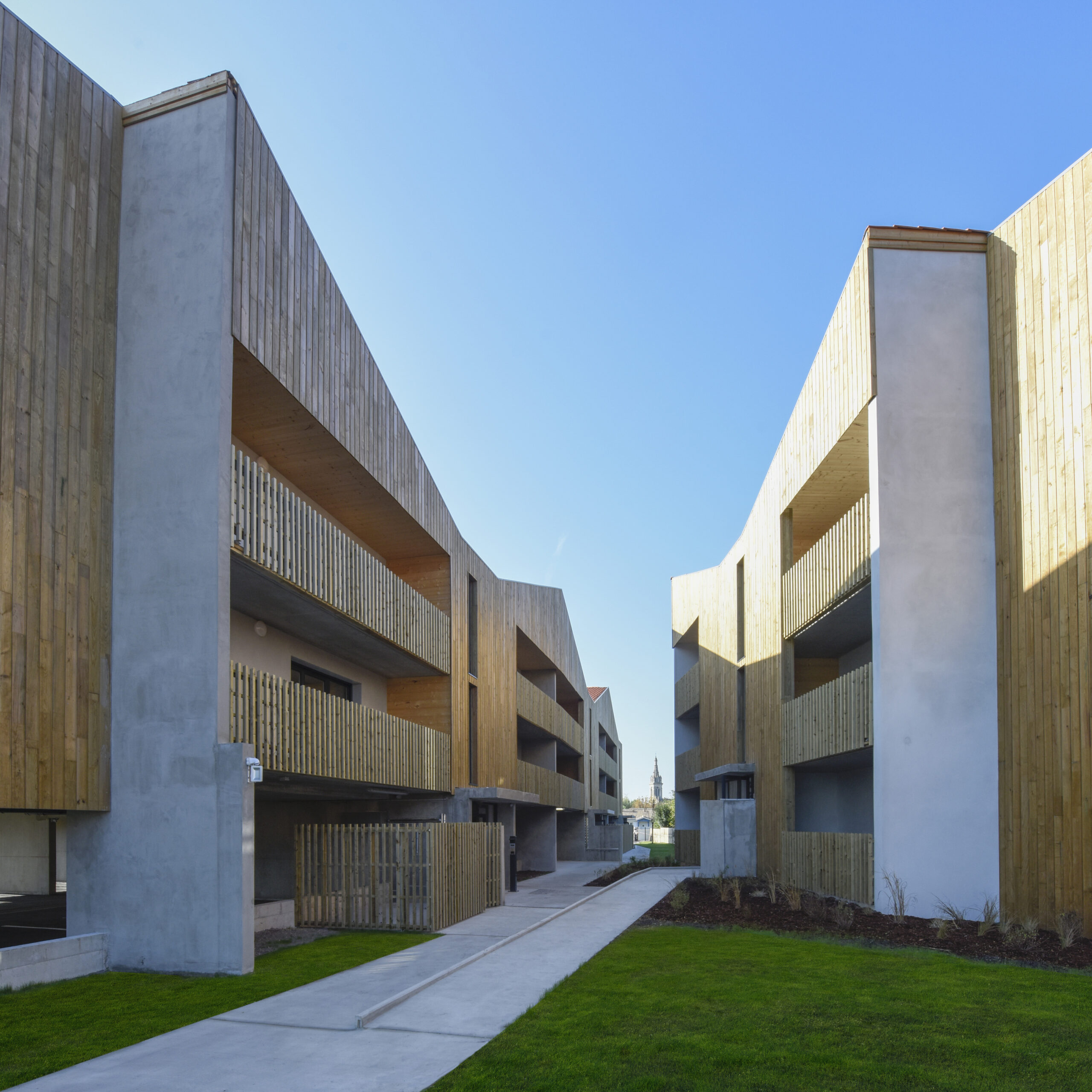 HILLOT / Paul Robin