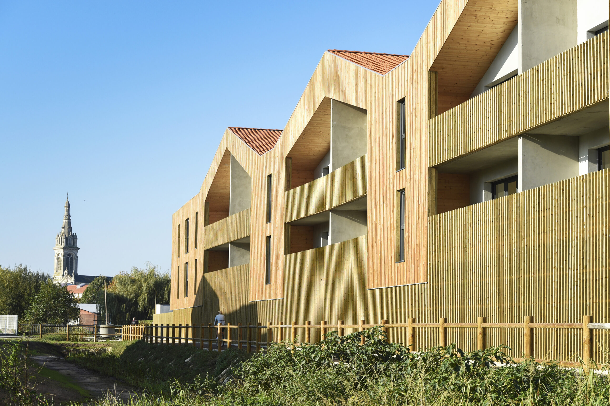 HILLOT / Paul Robin