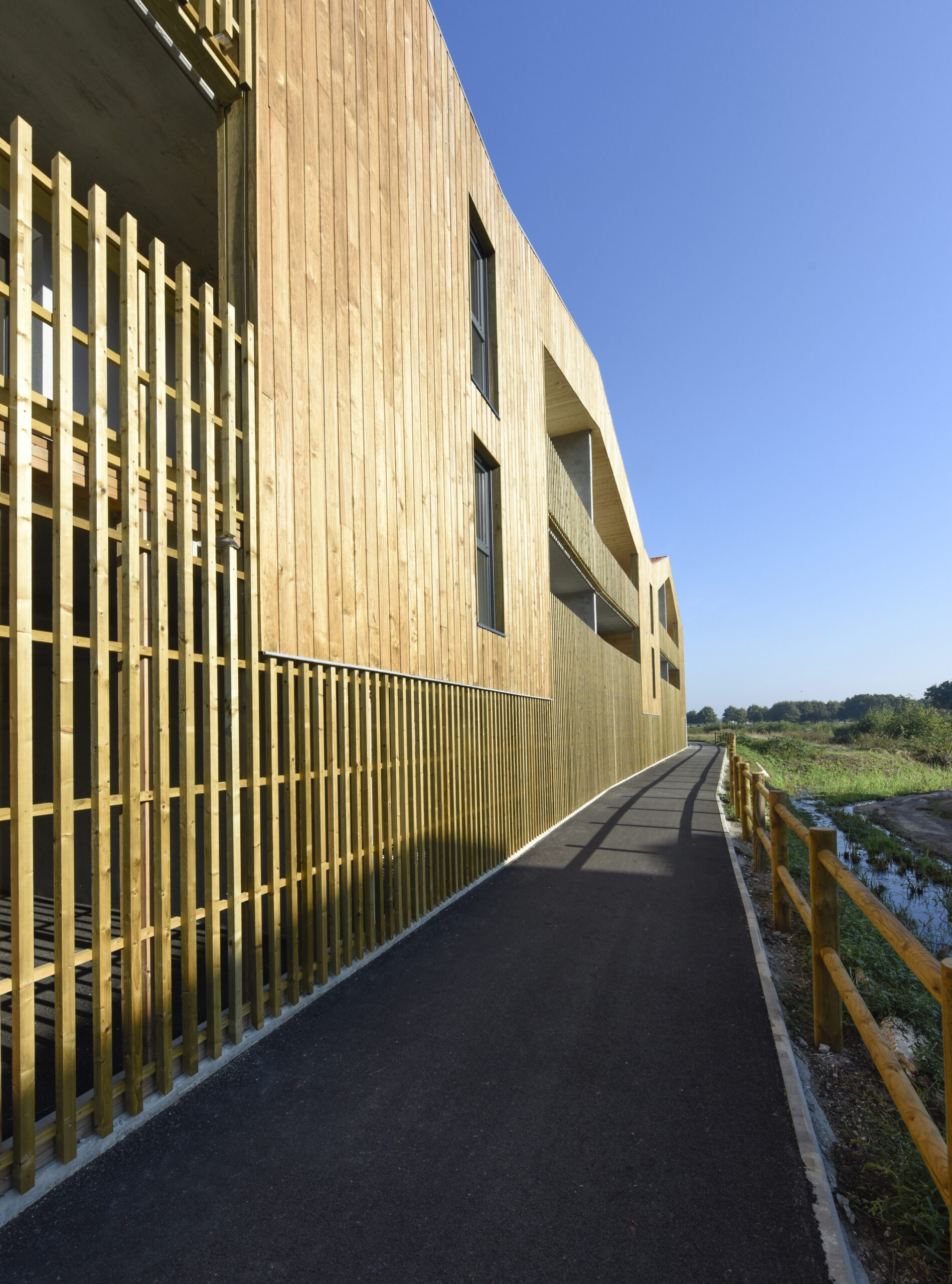 HILLOT / Paul Robin