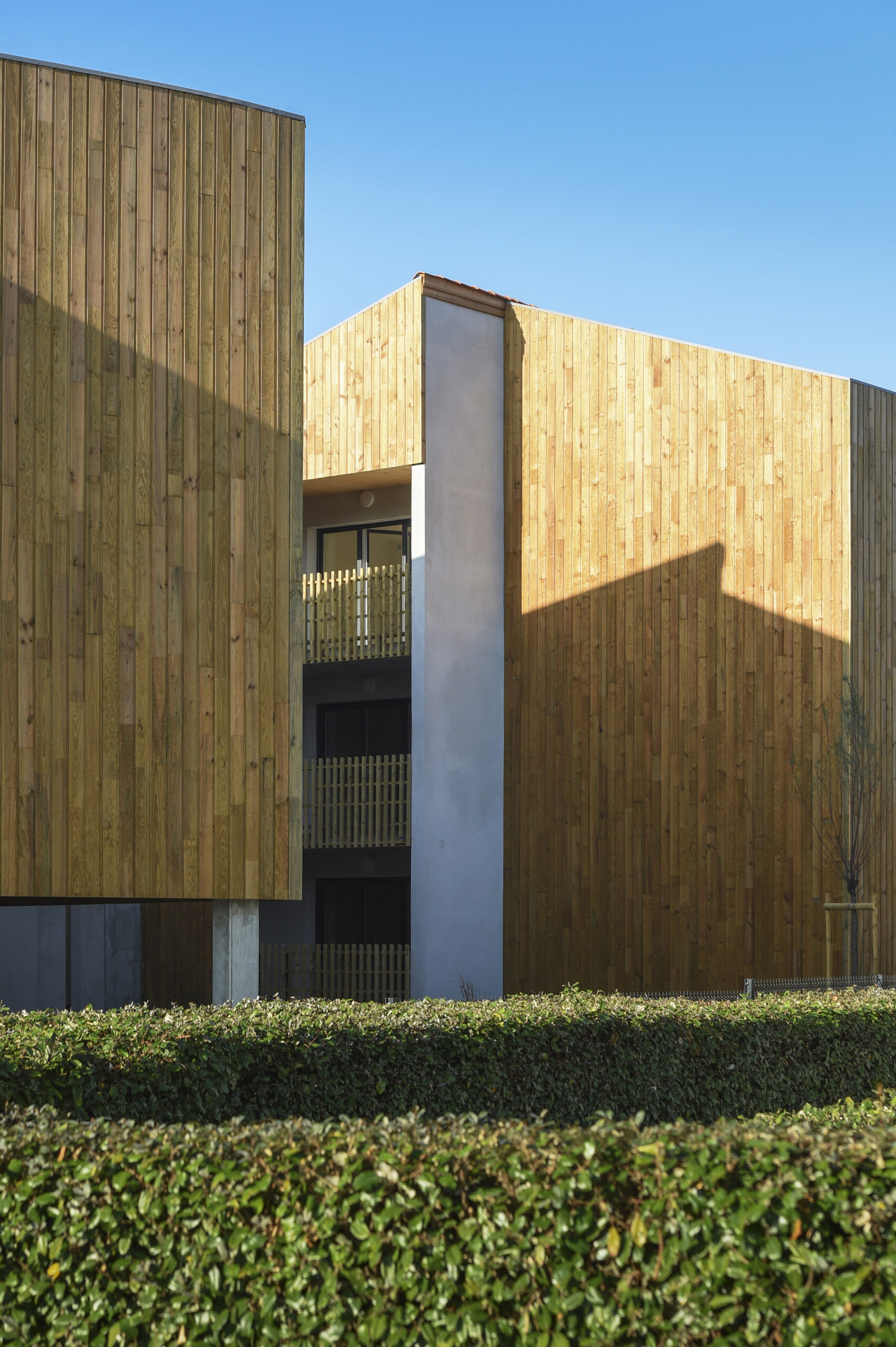 HILLOT / Paul Robin