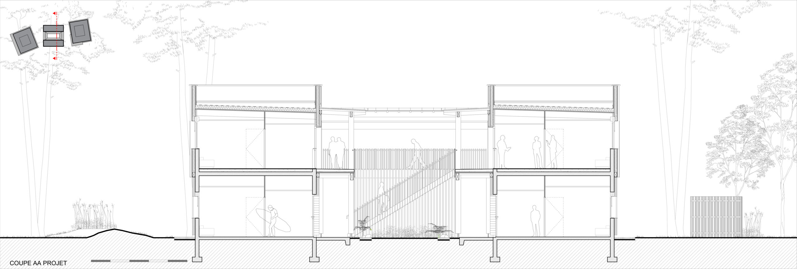 Coupe du projet / THA