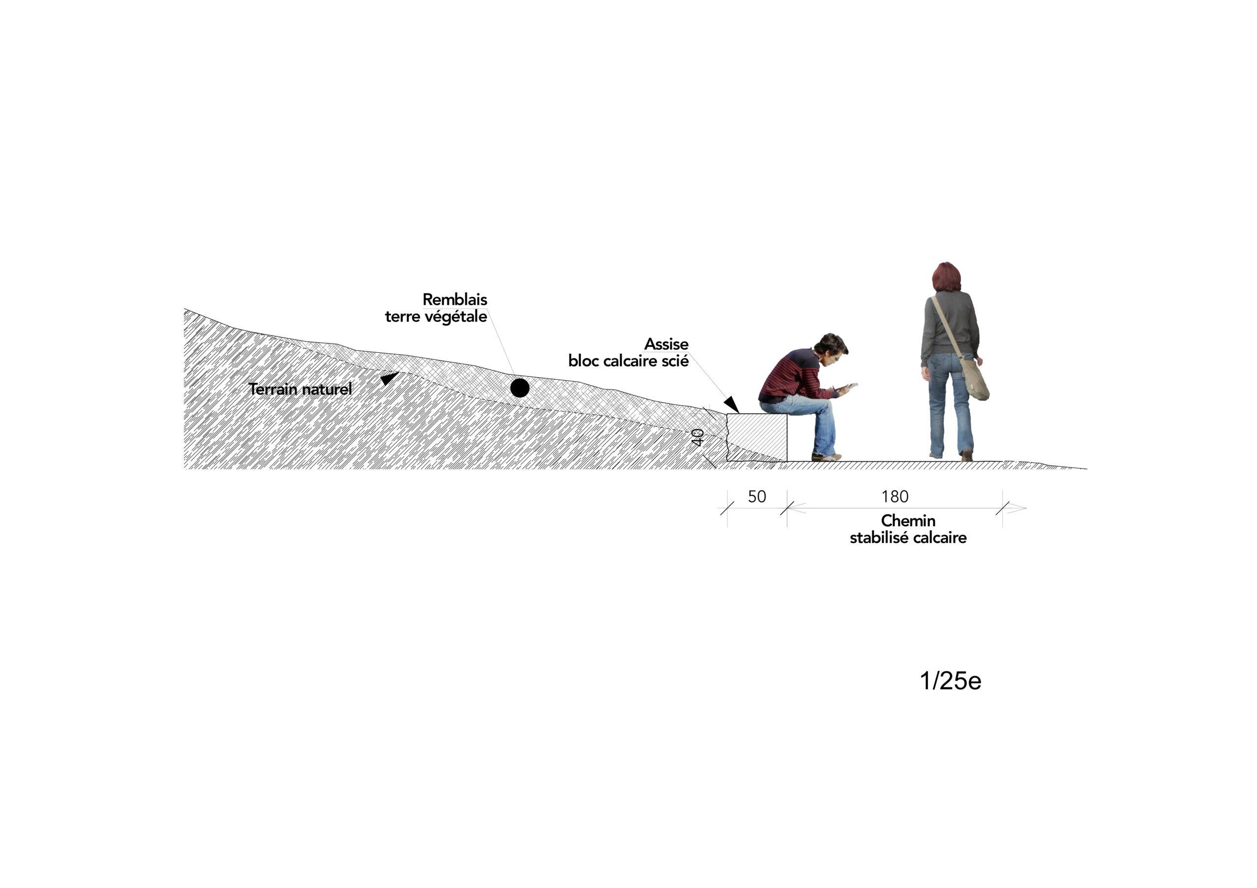 COUPE - PROJET - assises zone inondable / Bertrand Massé paysagiste