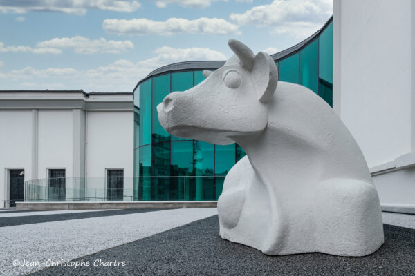 Du symbole du Béarn aux nouvelles façades ... / Jean-Christophe CHARTRE