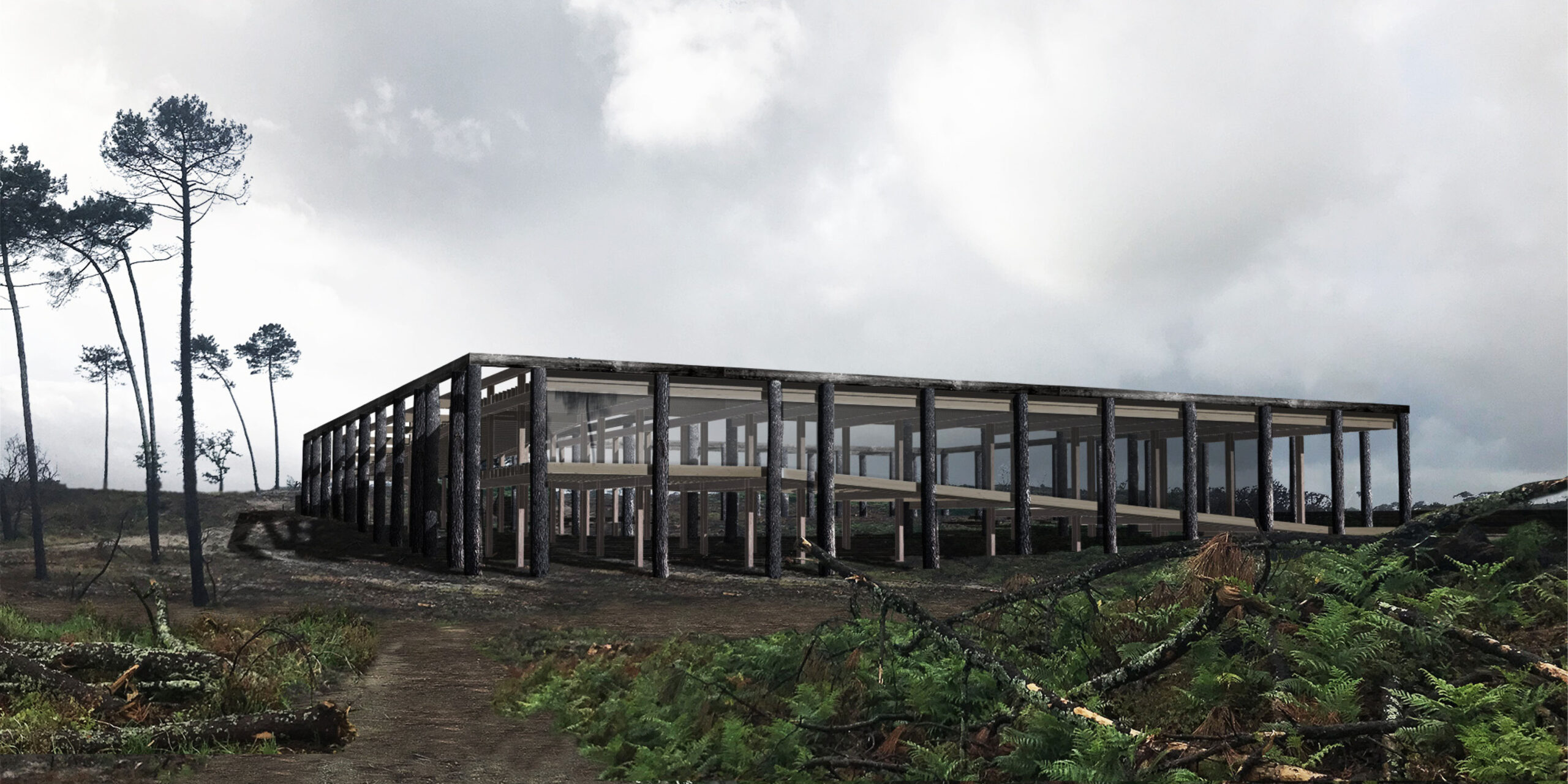 La forêt aujourd’hui, la maison de la forêt / Quentin Trey