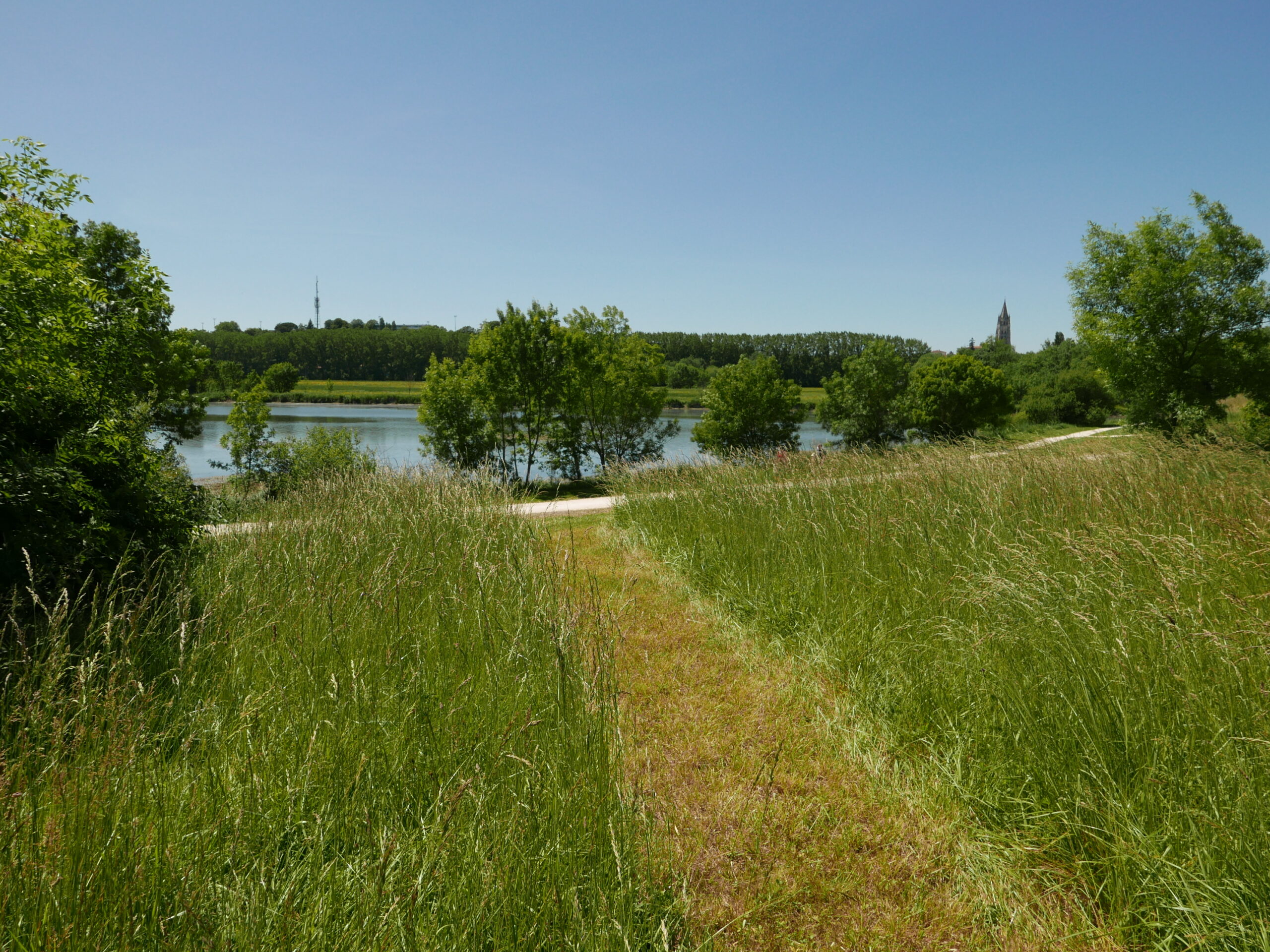 Prairie de fauche - Vue sur La Charente et monument UNESCO / Bertrand Massé paysagiste