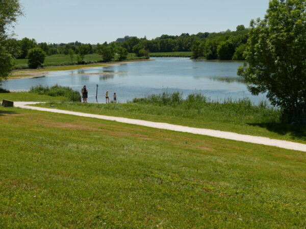 Berges inondables - La Charente / 
