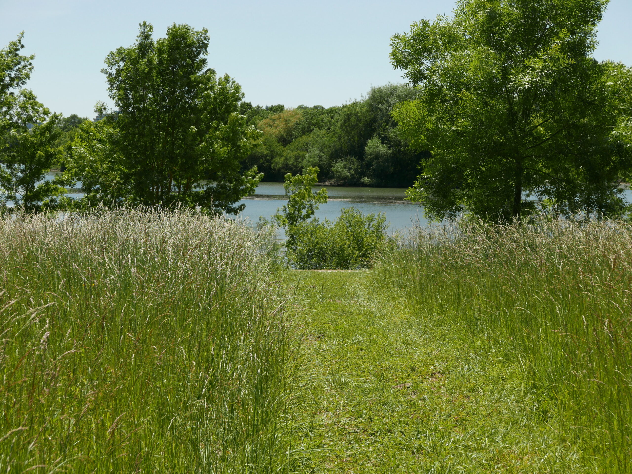 Prairie de fauche - Vue sur La Charente / Bertrand Massé paysagiste