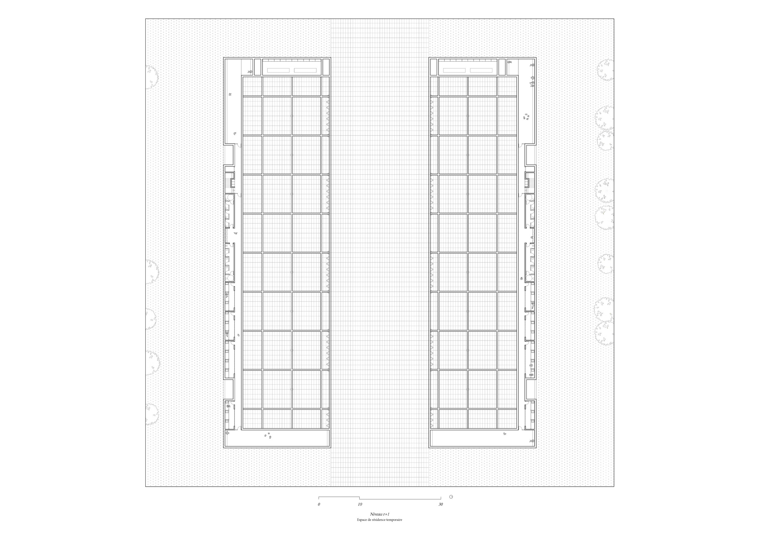 Plan R+1 / Vincent Miquelestorena Lavocat