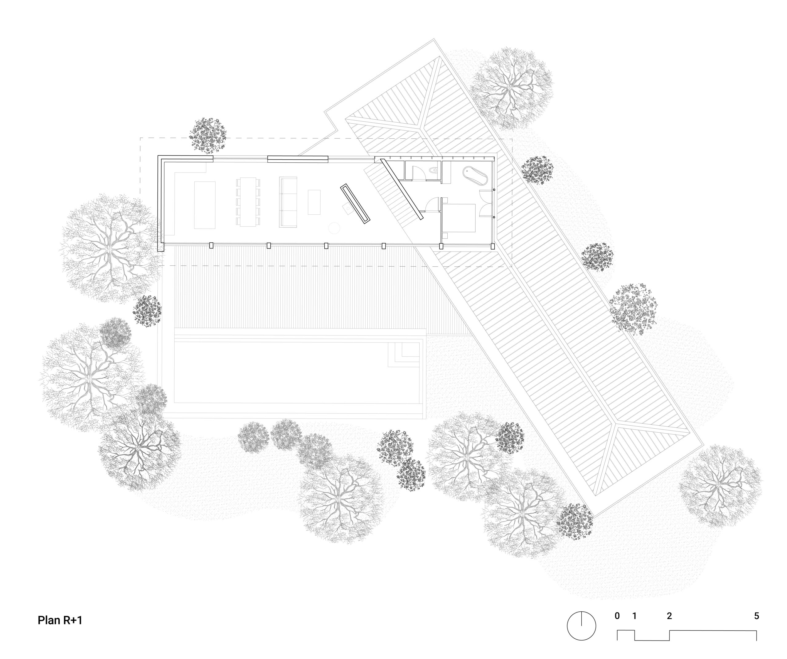 Plan R+1 / © SUMLI