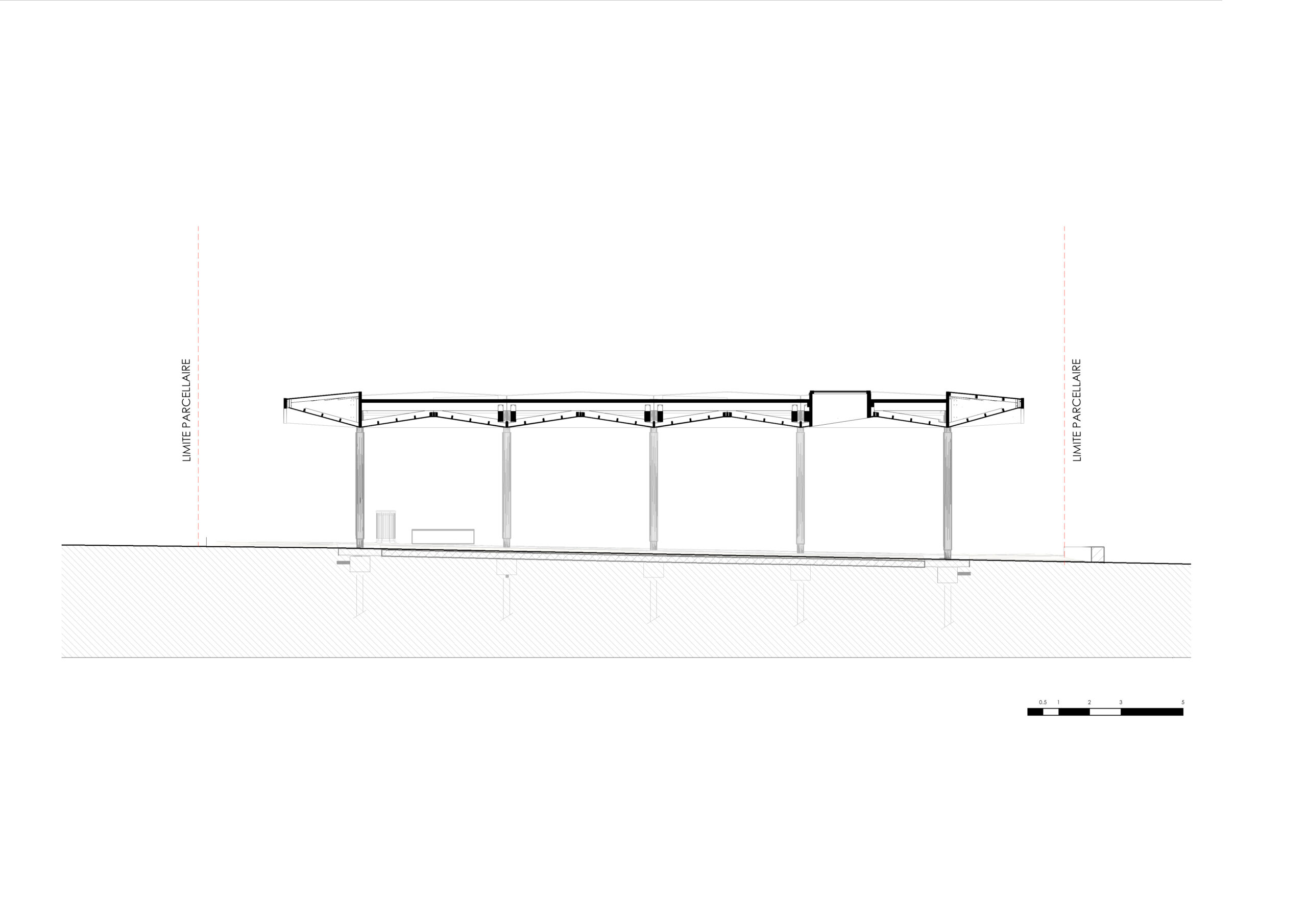 Coupe longitudinale / Bulle Architectes