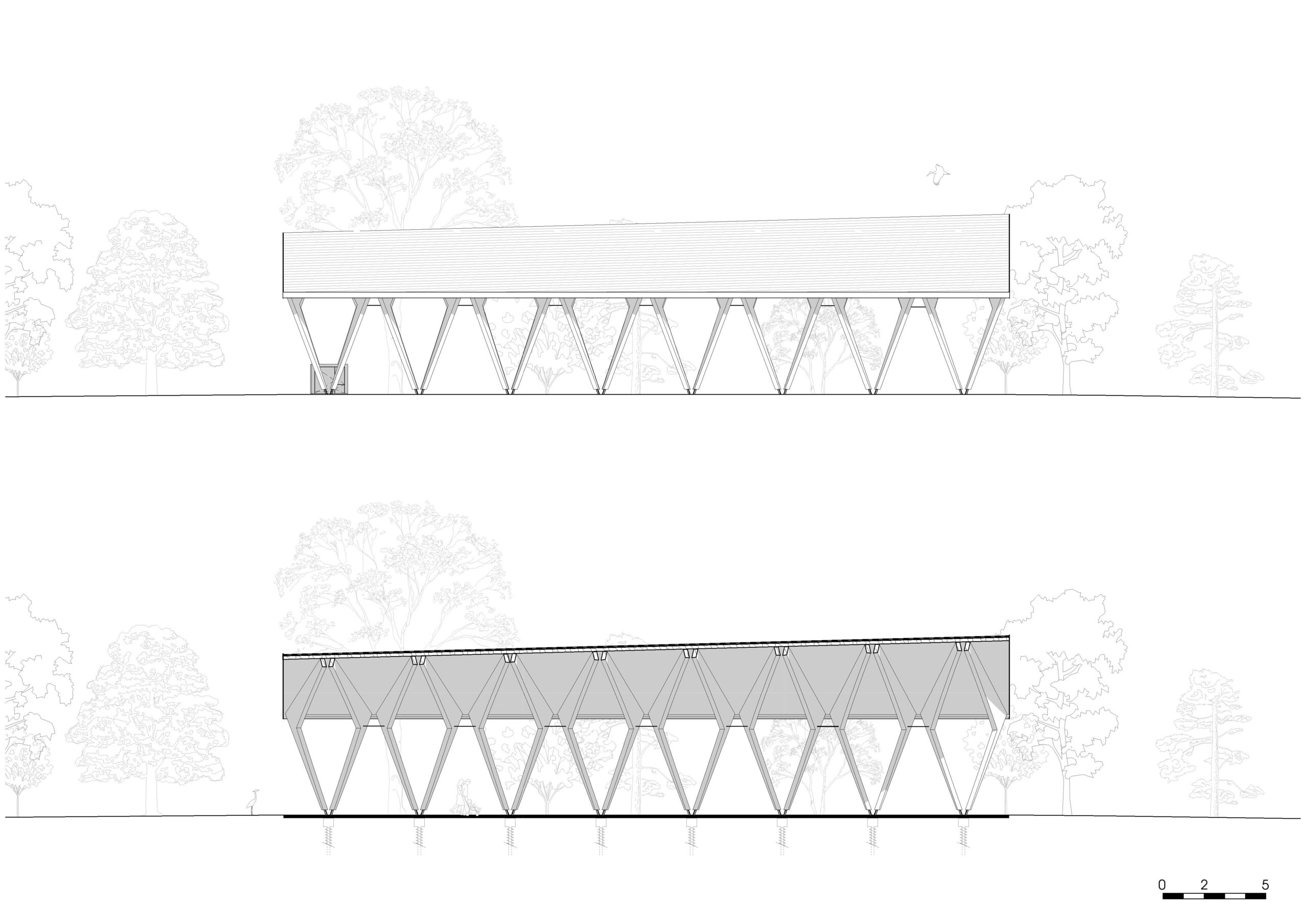 Coupe longitudinale / Bulle Architectes