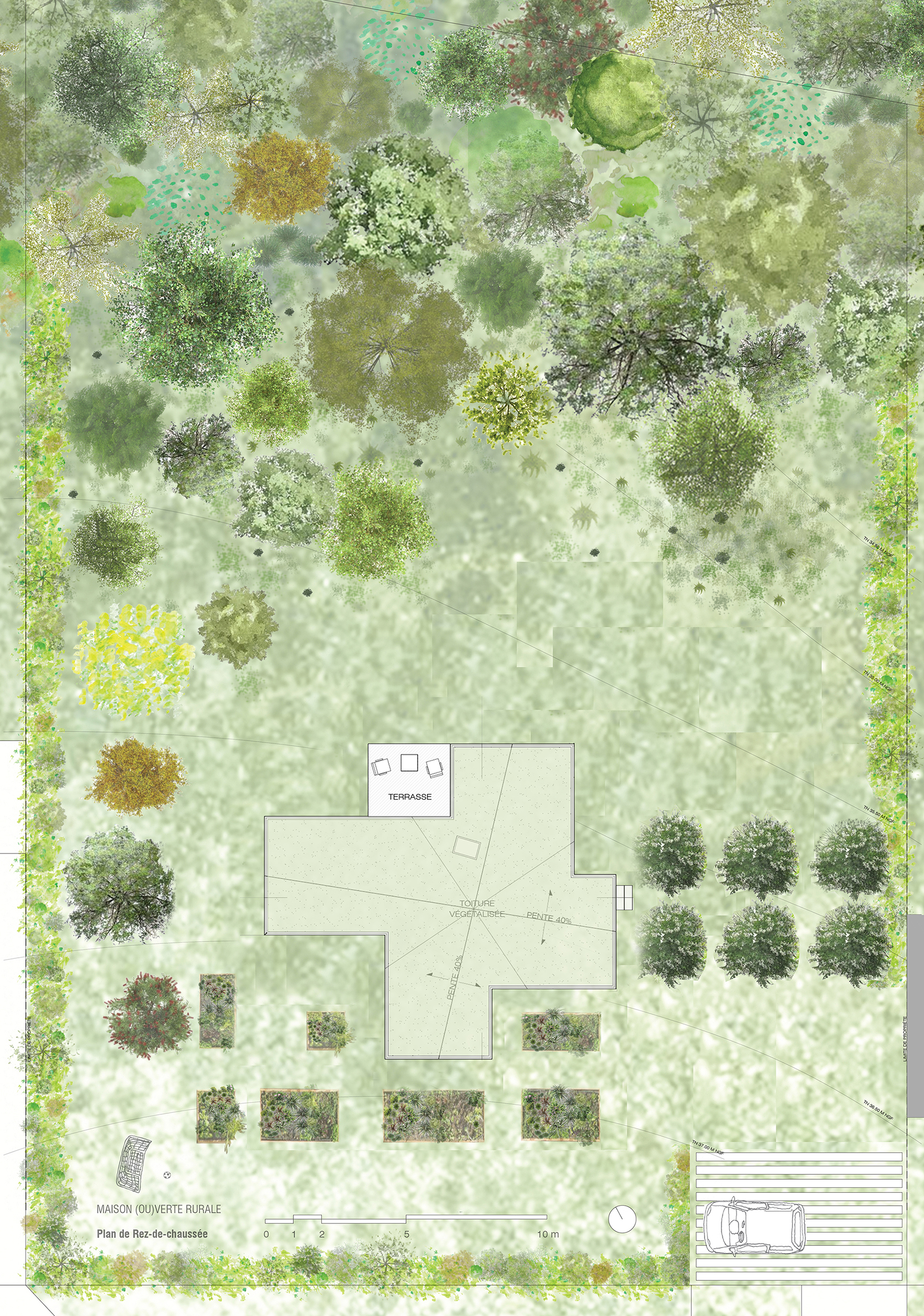 Maison(ou)VerteRurale_plan masse / onSITE architecture