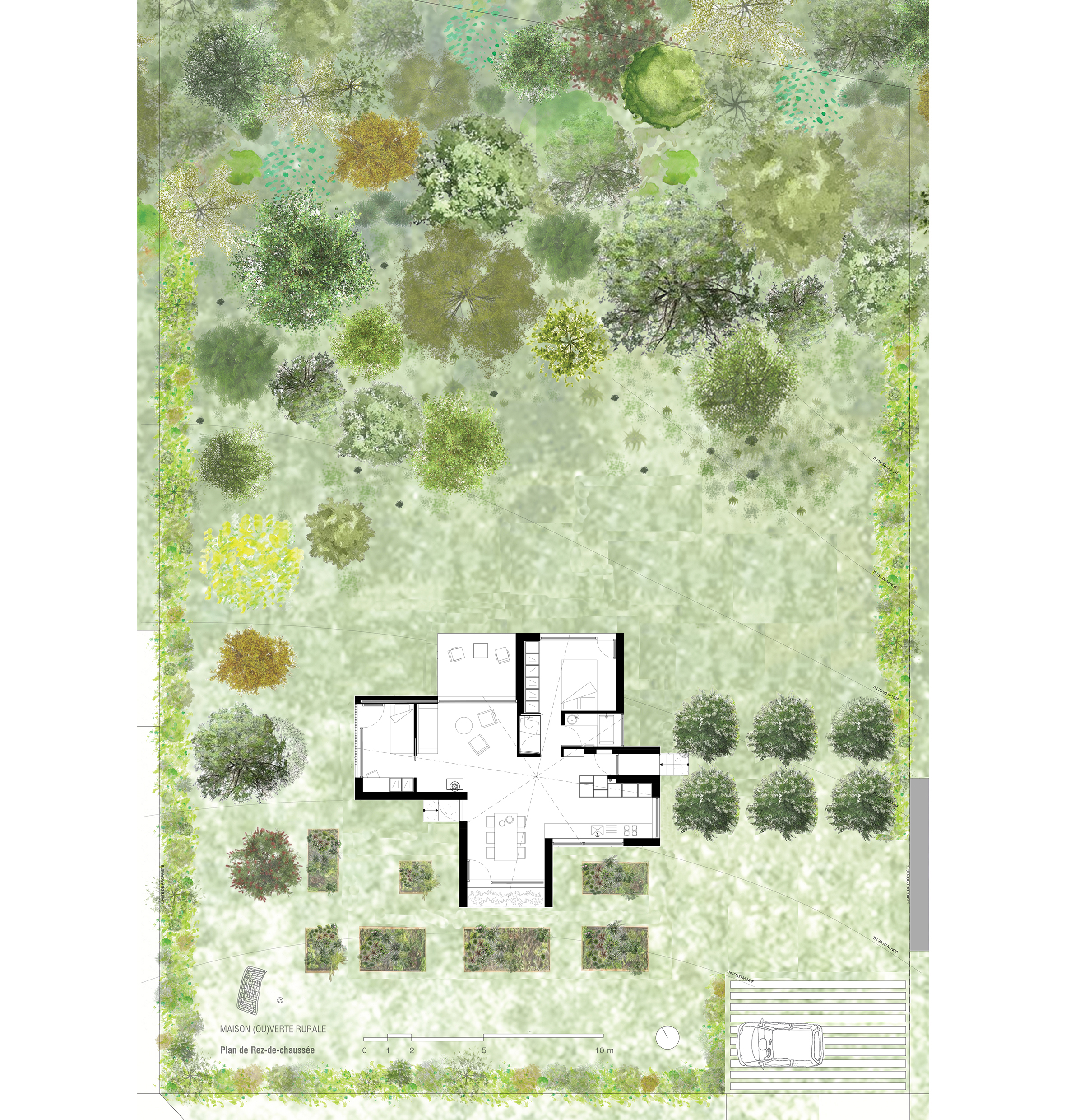 Maison(ou)VerteRurale_plan / onSITE architecture