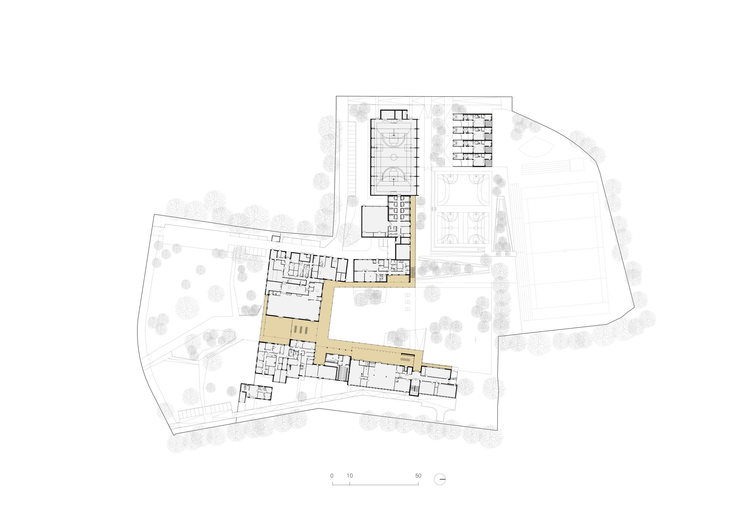 plan rez-de-chaussée / architectes