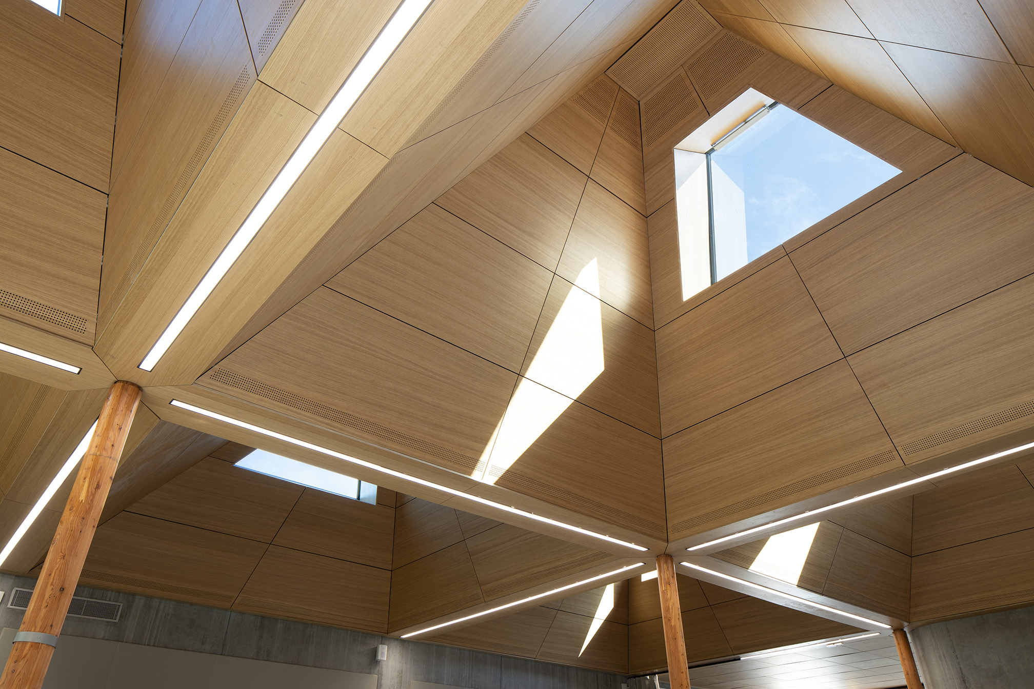 détail shed / Arthur Péquin