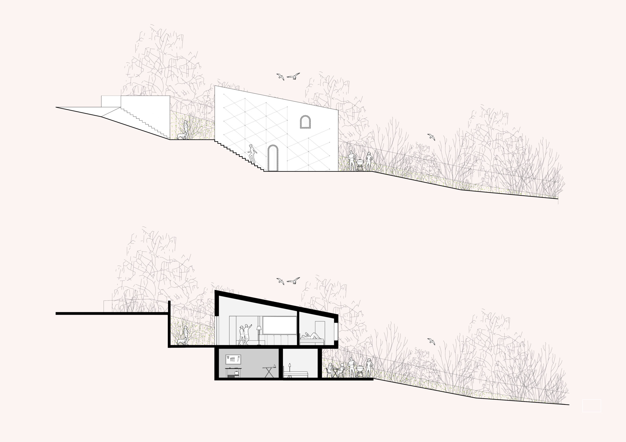 Coupe et élévation Nord du projet / B+L ARCHITECTES