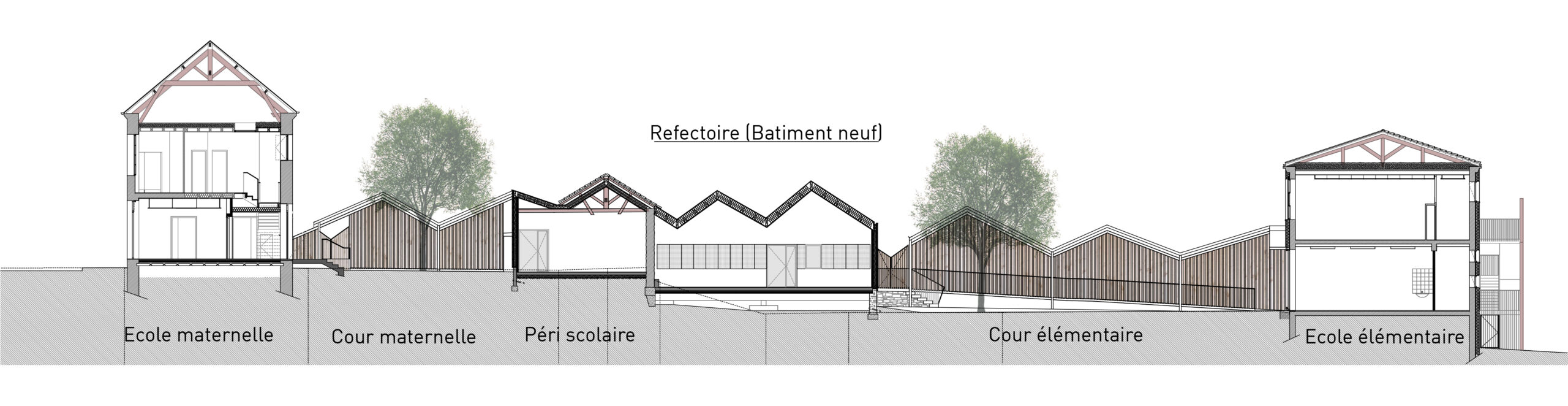 Coupe longitudinale / Atelier du trait