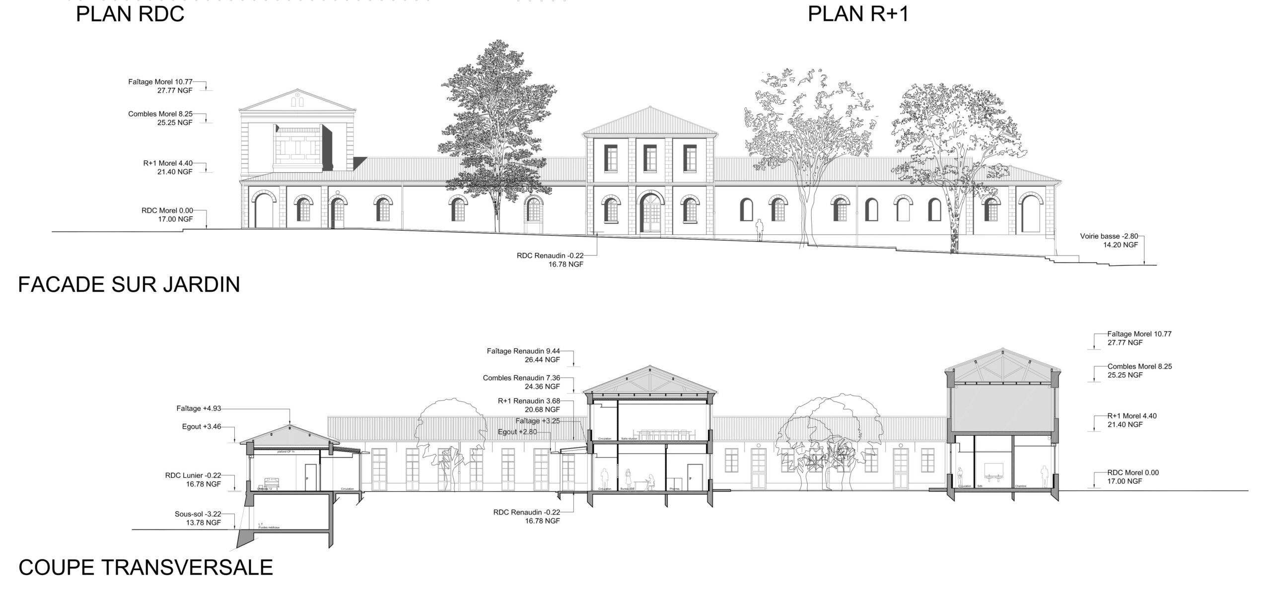 Façade sur jardin et coupe transversale / TLR architecture